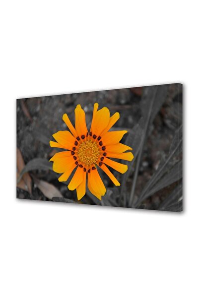 OEM Tablou decorativ, de perete, cu rama din lemn, 33cm x 24cm,cu flori1628