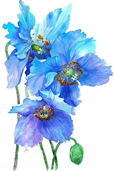 OEM Διακοσμητική επιτοίχια ζωγραφική με ξύλινο πλαίσιο, 33cm x 24cm, εικόνα 2605