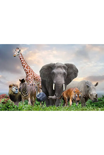 OEM Tablou decorativ, de perete, cu rama din lemn, 33cm x 24cm, cu animal124