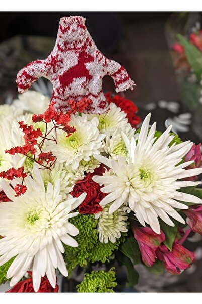 OEM Tablou decorativ, de perete, cu rama din lemn, 33cm x 24cm, imaginea 1686