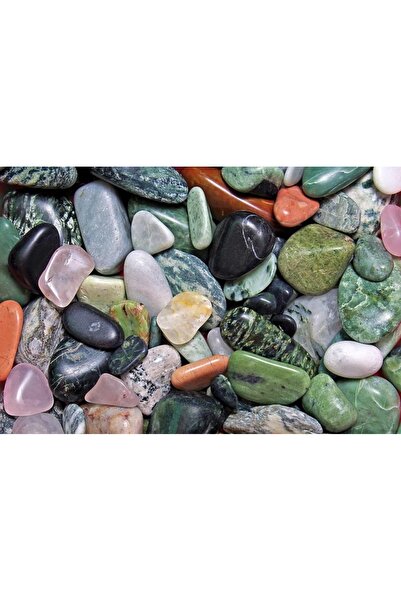 OEM Tablou decorativ, de perete, cu rama din lemn, 33cm x 24cm, imaginea 1709