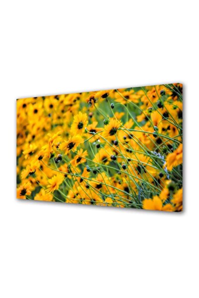OEM Tablou decorativ, de perete, cu rama din lemn, 33cm x 24cm,cu flori1432