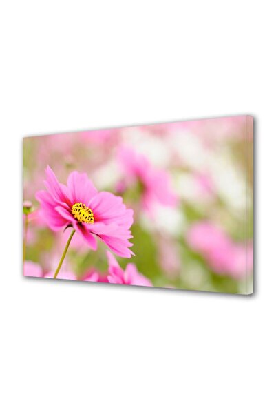 OEM Tablou decorativ, de perete, cu rama din lemn, 33cm x 24cm,cu flori1588