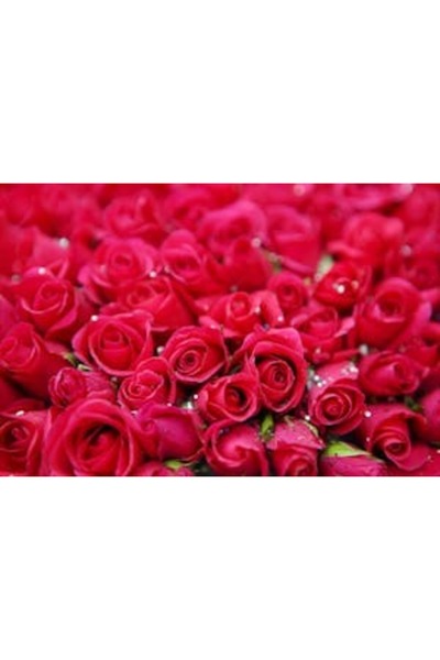 OEM Διακοσμητική επιτοίχια ζωγραφική με ξύλινο πλαίσιο, 33cm x 24cm, εικόνα 2319