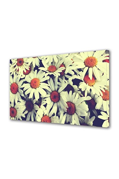 OEM Tablou decorativ, de perete, cu rama din lemn, 33cm x 24cm,cu flori1332