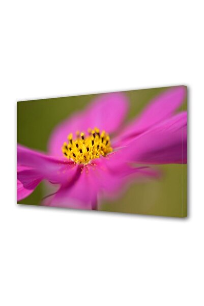 OEM Декоративна стенна картина с дървена рамка, 33 см х 24 см, с цветя1396