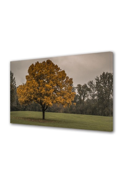OEM Tablou decorativ, de perete, cu rama din lemn, 33cm x 24cm,cu flori2210
