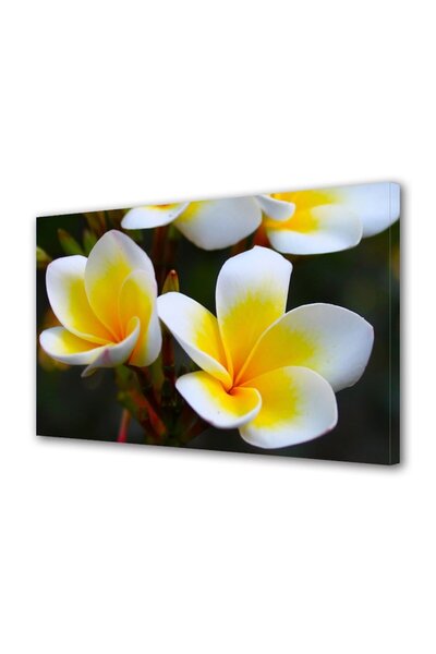 OEM Tablou decorativ, de perete, cu rama din lemn, 33cm x 24cm,cu flori1362