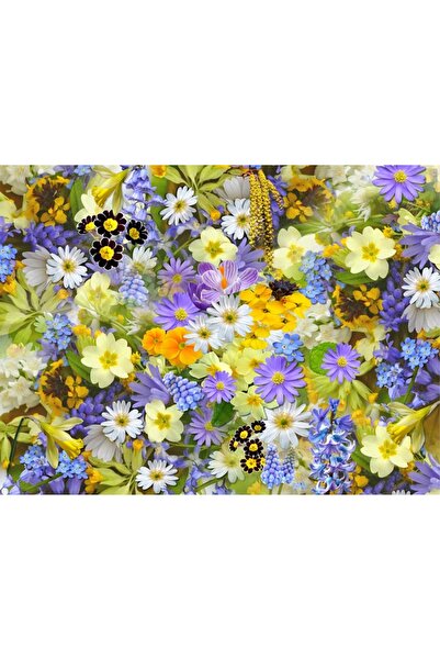 OEM Διακοσμητική τοιχογραφία με ξύλινο πλαίσιο, 33εκ. x 24εκ., εικόνα 1980