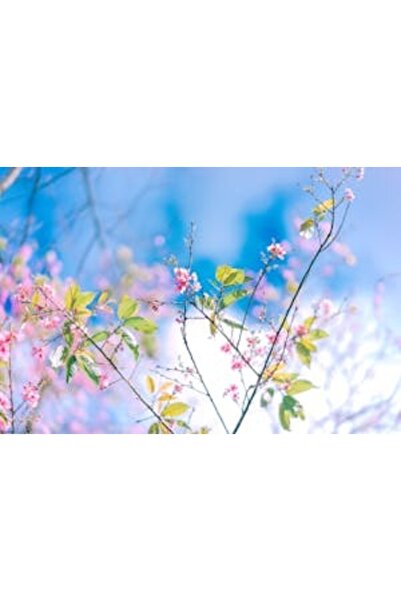 OEM Tablou decorativ, de perete, cu rama din lemn, 33cm x 24cm, imaginea 2154