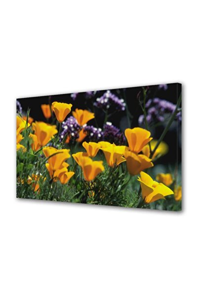 OEM Tablou decorativ, de perete, cu rama din lemn, 33cm x 24cm,cu flori1263