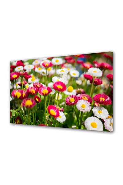 OEM Tablou decorativ, de perete, cu rama din lemn, 33cm x 24cm,cu flori1440