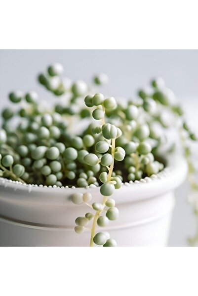 OEM Διακοσμητική επιτοίχια ζωγραφική με ξύλινο πλαίσιο, 33cm x 24cm, εικόνα 2194