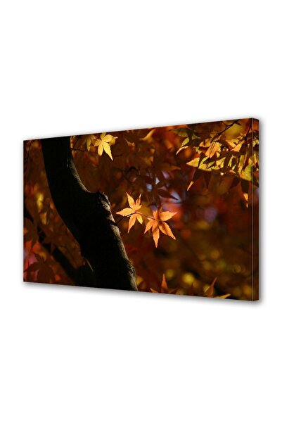 OEM Tablou decorativ, de perete, cu rama din lemn, 33cm x 24cm,cu flori2001