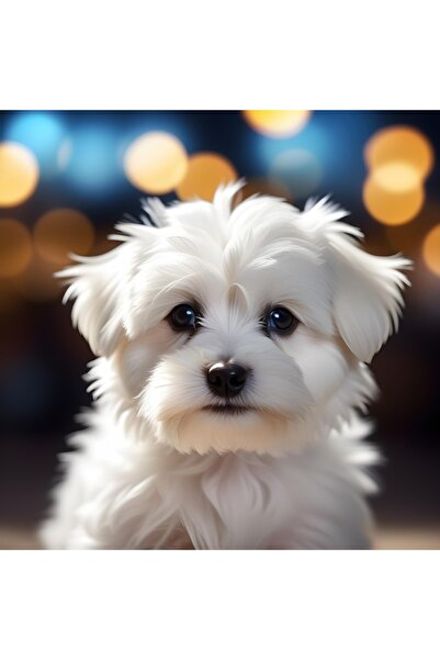 OEM SONGMICS Set de 6 gantere hexagonale cu suport, 2x1 kg 2x2 kg 2x3 kg, mul...