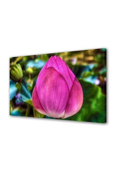 OEM Tablou decorativ, de perete, cu rama din lemn, 33cm x 24cm,cu flori1346