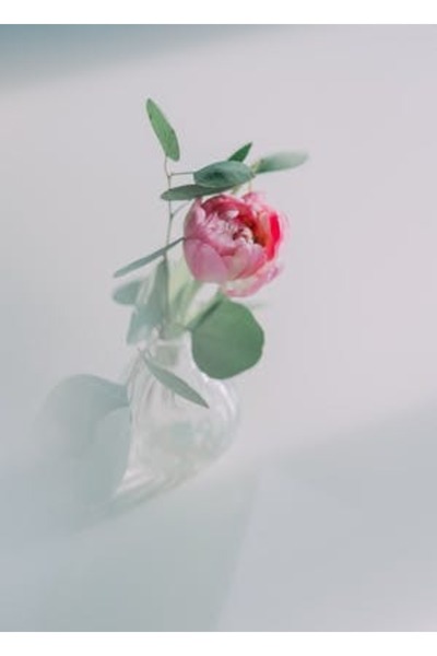 OEM Διακοσμητική επιτοίχια ζωγραφική με ξύλινο πλαίσιο, 33cm x 24cm, εικόνα 2372