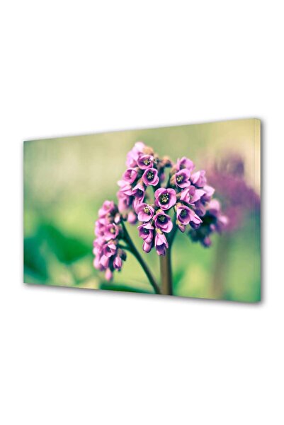 OEM Tablou decorativ, de perete, cu rama din lemn, 33cm x 24cm,cu flori1277