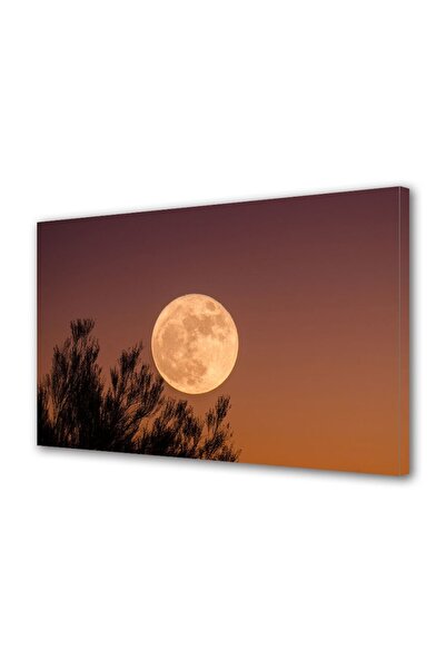 OEM Tablou decorativ, de perete, cu rama din lemn, 33cm x 24cm,cu flori2038