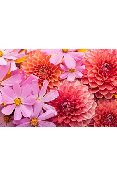 OEM Διακοσμητική επιτοίχια ζωγραφική με ξύλινο πλαίσιο, 33cm x 24cm, εικόνα 2351