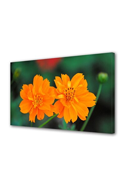 OEM Tablou decorativ, de perete, cu rama din lemn, 33cm x 24cm,cu flori1606