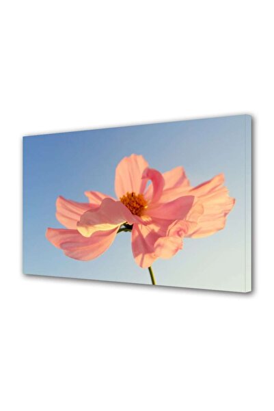 OEM Tablou decorativ, de perete, cu rama din lemn, 33cm x 24cm,cu flori1496