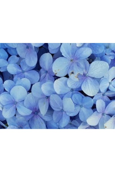 OEM Διακοσμητική επιτοίχια ζωγραφική με ξύλινο πλαίσιο, 33cm x 24cm, εικόνα 2095