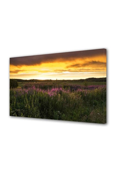 OEM Tablou decorativ, de perete, cu rama din lemn, 33cm x 24cm,cu flori1685