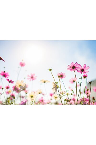 OEM Διακοσμητική επιτοίχια ζωγραφική με ξύλινο πλαίσιο, 33cm x 24cm, εικόνα 2170