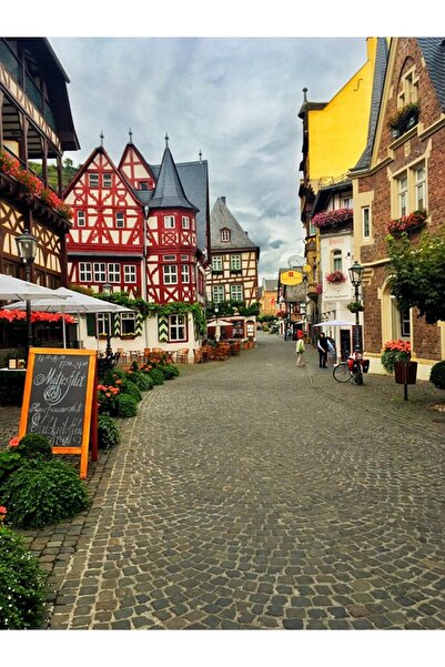 OEM Tablou decorativ, de perete, cu rama din lemn, 33cm x 24cm, imaginea 1738