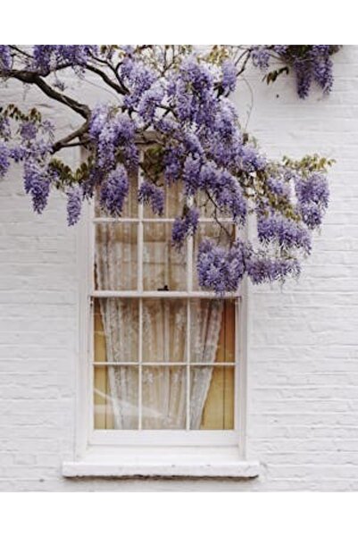 OEM Διακοσμητική επιτοίχια ζωγραφική με ξύλινο πλαίσιο, 33cm x 24cm, εικόνα 2283