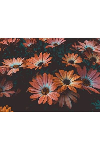 OEM Διακοσμητική επιτοίχια ζωγραφική με ξύλινο πλαίσιο, 33cm x 24cm, εικόνα 2076