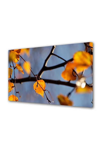 OEM Tablou decorativ, de perete, cu rama din lemn, 33cm x 24cm,cu flori1842