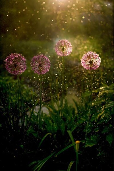 OEM Διακοσμητική επιτοίχια ζωγραφική με ξύλινο πλαίσιο, 33cm x 24cm, εικόνα 2212