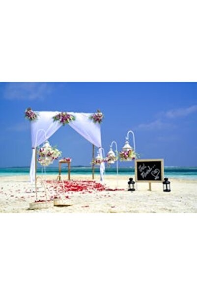 OEM Διακοσμητική επιτοίχια ζωγραφική με ξύλινο πλαίσιο, 33cm x 24cm, εικόνα 2208