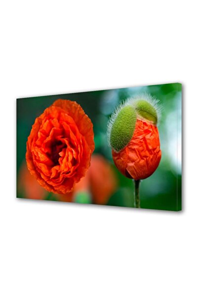 OEM Tablou decorativ, de perete, cu rama din lemn, 33cm x 24cm,cu flori1369