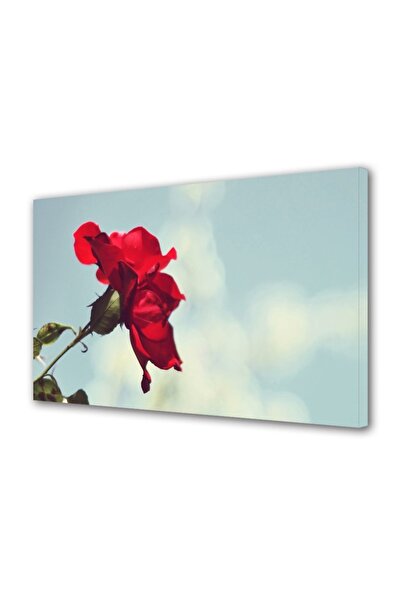 OEM Tablou decorativ, de perete, cu rama din lemn, 33cm x 24cm,cu flori1633