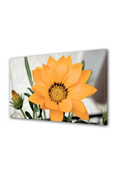 OEM Tablou decorativ, de perete, cu rama din lemn, 33cm x 24cm,cu flori1526