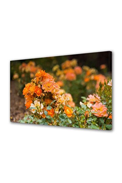 OEM Tablou decorativ, de perete, cu rama din lemn, 33cm x 24cm,cu flori1707