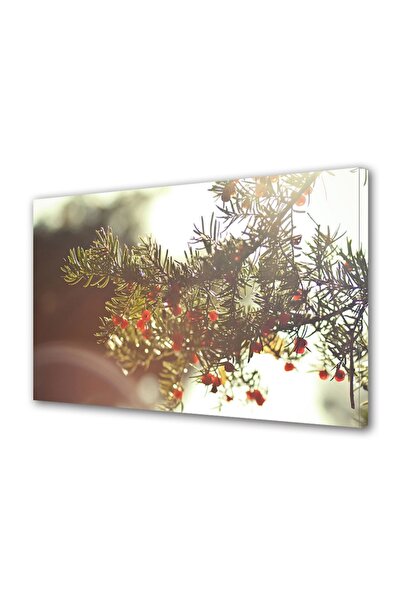 OEM Tablou decorativ, de perete, cu rama din lemn, 33cm x 24cm,cu flori1997