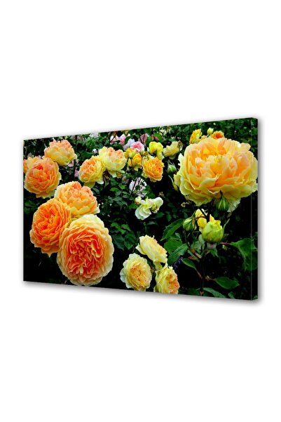 OEM Tablou decorativ, de perete, cu rama din lemn, 33cm x 24cm,cu flori1477