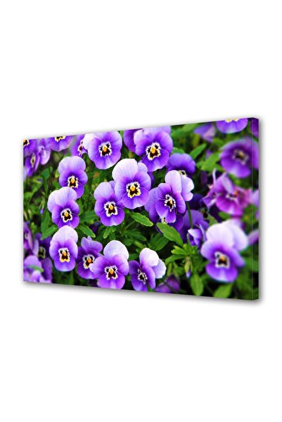 OEM Tablou decorativ, de perete, cu rama din lemn, 33cm x 24cm,cu flori1367