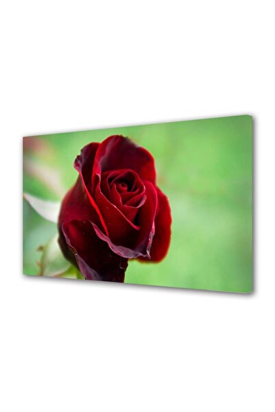 OEM Tablou decorativ, de perete, cu rama din lemn, 33cm x 24cm,cu flori1397