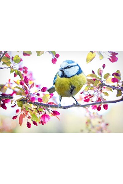 OEM Διακοσμητική επιτοίχια ζωγραφική με ξύλινο πλαίσιο, 33cm x 24cm, εικόνα 2031