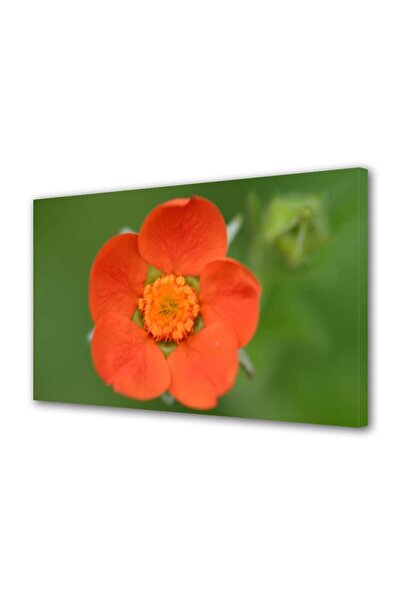 OEM Tablou decorativ, de perete, cu rama din lemn, 33cm x 24cm,cu flori1325