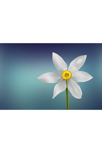 OEM Διακοσμητική τοιχογραφία με ξύλινο πλαίσιο, 33εκ. x 24εκ., εικόνα 1960