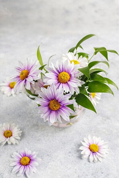 OEM Διακοσμητική επιτοίχια ζωγραφική με ξύλινο πλαίσιο, 33cm x 24cm, εικόνα 2421