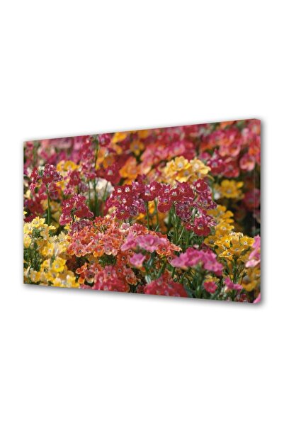 OEM Διακοσμητική επιτοίχια ζωγραφική με ξύλινο πλαίσιο, 33cm x 24cm, με λουλο...