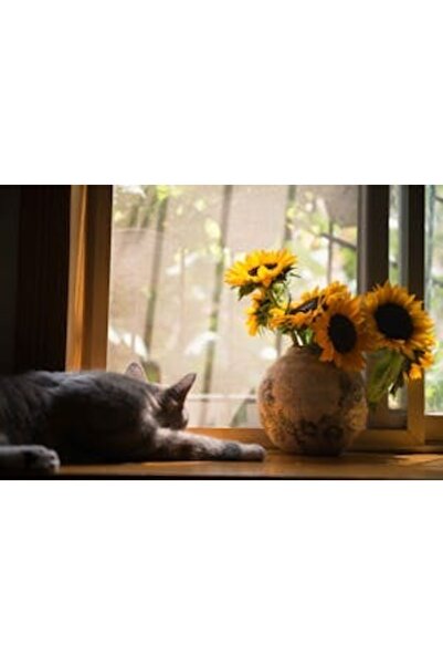 OEM Διακοσμητική επιτοίχια ζωγραφική με ξύλινο πλαίσιο, 33cm x 24cm, εικόνα 2260