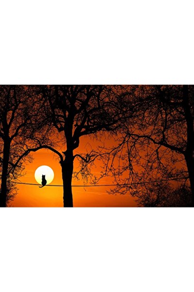 OEM Tablou decorativ, de perete, cu rama din lemn, 33cm x 24cm, cu animal330